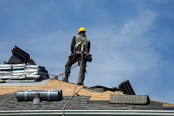 Professional Flat Roof Repair technician working in Urbana, IL